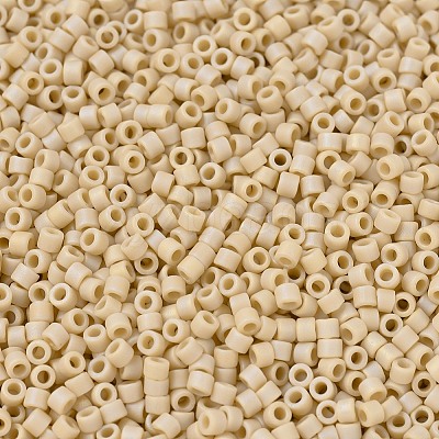MIYUKI Delica Beads Small X-SEED-J020-DBS1591-1