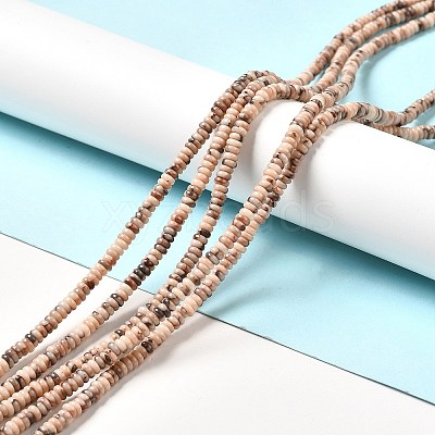 Natural Fossil Beads Strands G-I339-06-1