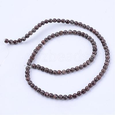 Natural Snowflake Obsidian Beads Strands G-Q462-6mm-37-1