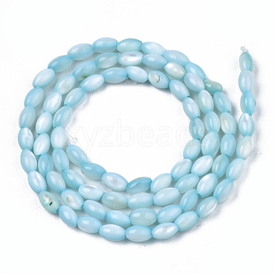 Natural Freshwater Shell Beads Strands SHEL-N003-25-B02-1