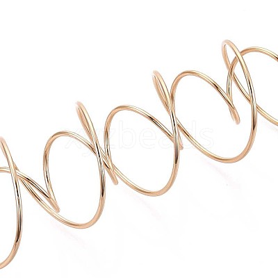 201 Stainless Steel Plant Hangers STAS-N120-02G-1