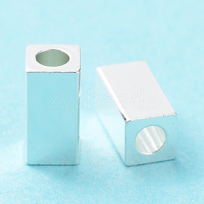304 Stainless Steel Beads STAS-P327-05B-S-1