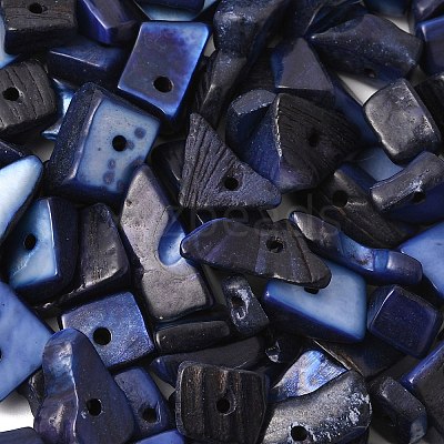 Dyed Natural Freshwater Shell Chips Beads X-SHEL-O001-12C-1