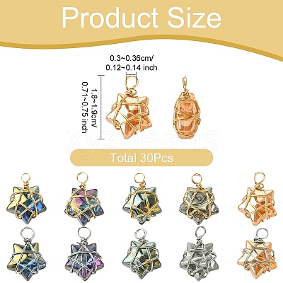 30Pcs 2 Style 5 Colors Glass Pendants PALLOY-YW00056-1