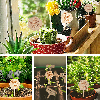 Plant Labels WOOD-GA0001-19-1