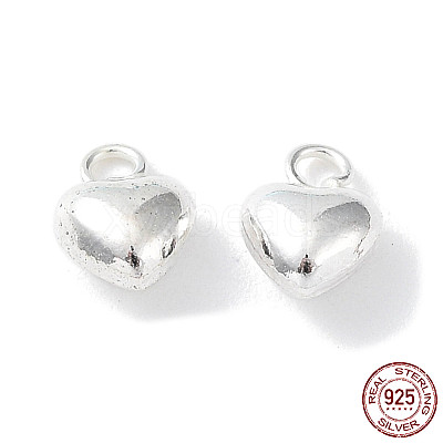 925 Sterling Silver Charms STER-H106-01D-S-1
