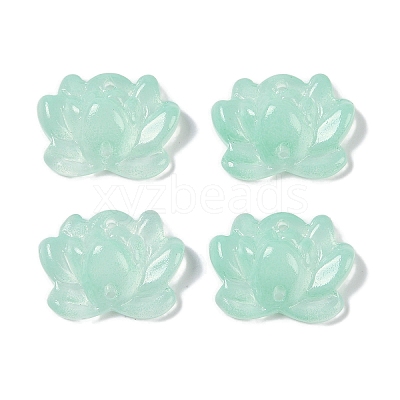 Baking Paint Glass Beads GLAA-S202-13G-1