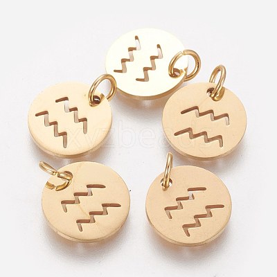 304 Stainless Steel Charms STAS-Q201-T445-11G-1