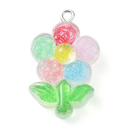 Translucent Resin Pendants RESI-Z014-02D-1