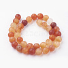 Natural Red Agate Bead Strands G-G735-64F-10mm-2