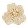 Brass Cobochons KK-L219-10G-1
