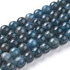 Natural Apatite Beads Strands G-F627-07-B-1
