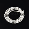 Natural White Shell Bead Strands SSHEL-N003-144A-01-2