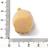 Flocky Animal Resin Pendants FIND-S001-05D-3
