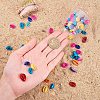 Cowrie Shell Beads SHEL-PH0001-05-3