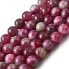 Natural Jade Imitation Watermelon Tourmaline Beads Strands G-NH0006-A01-02-1-2
