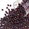 TOHO 8/0 Round Beads X-SEED-TR08-0503-1