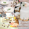 160Pcs Unfinished Wooden Pieces WOOD-BC0001-31A-6
