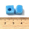 Handmade Lampwork Beads LAMP-B025-01A-06-2