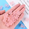 Transparent Acrylic Beads MACR-S373-80-D10-7