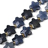 Natural Dyed & Heated Blue Aventurine Beads Strands G-P573-C09-01-2