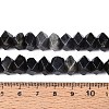 Natural Larvikite Beads Strands G-D091-A29-5
