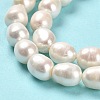 Natural Cultured Freshwater Pearl Beads Strands PEAR-E016-061-4