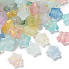 Frosted Acrylic Charms OACR-M023-04B-1