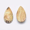 Natural Picture Jasper Cabochons G-P384-M04-2