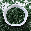 MIYUKI Delica Beads SEED-X0054-DB0148-2