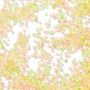 Transparent Colours Glass Seed Beads SEED-H003-01H-3