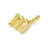 Rack Plating Brass with ABS Plastic Pearl European Dangle Charms KK-G501-02M-G-2