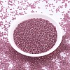 MIYUKI Round Rocailles Beads X-SEED-G007-RR1338-2