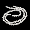 Natural Rainbow Moonstone Beads Strands G-B168-A11-2mm-3