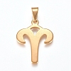304 Stainless Steel Pendants STAS-L210-06C-G-01-1