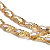 Electroplate Glass Beads Strands EGLA-P066-01A-AB04-3