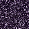 Glass Cylinder Beads SEED-S047-B-012-3