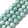 Natural Amazonite Beads Strands G-K068-03-10mmA-2