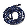 Natural Sodalite Beads Strands G-B088-C03-04-3