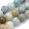 Natural Flower Amazonite Beads Strands X-G-S259-13-10mm-1
