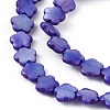 Natural Freshwater Shell Dyed Beads Strands SHEL-K001-001E-3