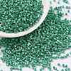 Cylinder Seed Beads X-SEED-H001-D09-1