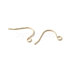 200Pcs 316 Surgical Stainless Steel Earring Hooks STAS-UN0063-40-2