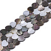 Natural Black Lip Shell Bead Strands SSHEL-N034-69B-1