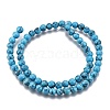 Synthetic Turquoise Beads Strands Z0NDC011-1-2