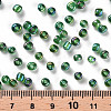 6/0 Round Glass Seed Beads SEED-US0003-4mm-167B-3