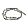 Natural African Turquoise(Jasper) Beads Strands X-G-G837-02-2