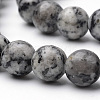 Natural Black Spot Stone Beads Strands G-S272-05-4mm-3