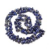 Natural Lapis Lazuli Chip Bead Strands X-G-M205-14-2