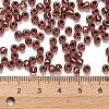 TOHO 6/0 Round Beads X-SEED-TR06-0746-3